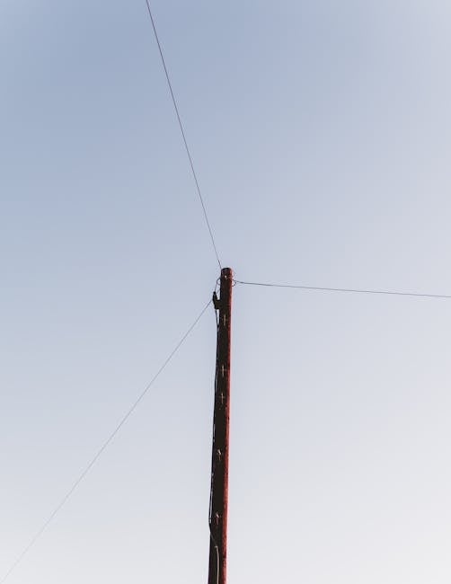 9 : img_7 - Connectivity lines representing digital health tracking